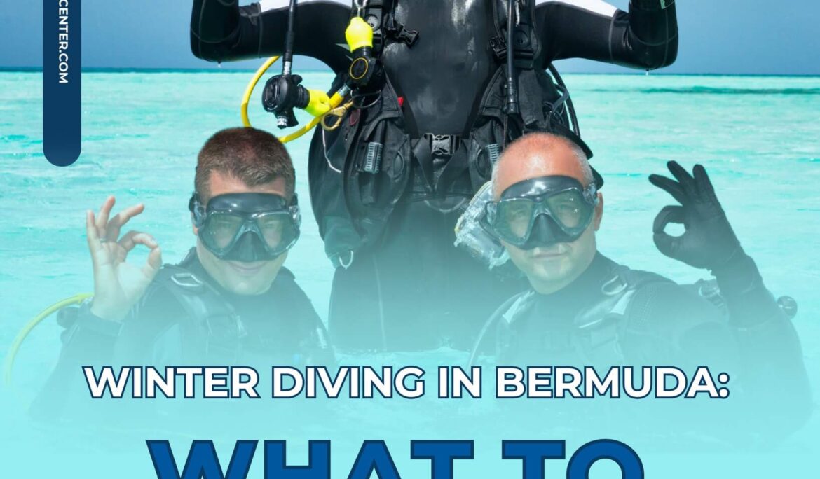 Winter Diving in Bermuda: What to Expect